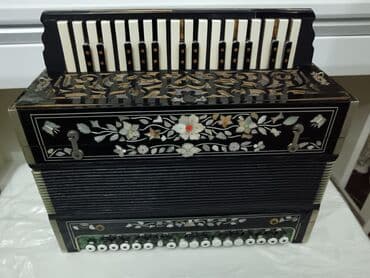 Akkordeonlar: Akustik Akkordeon — 1