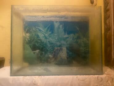 сколько стоит аквариум: Şüşə akvarium 30.35 litirlik - Korpus: şəffaf şüşədən, düzbucaqlı — 1