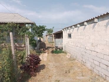 masazirda heyet evleri 2023: Həyət evləri və villaların satışı — 13