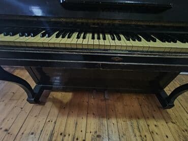Velosiped aksesuarları: Piano, Akustik — 1