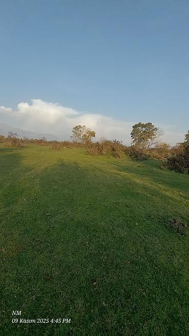 Mənzillər: 24 sot, Kənd təsərrüfatı, Barter mümkündür, Kupça (Çıxarış) — 4