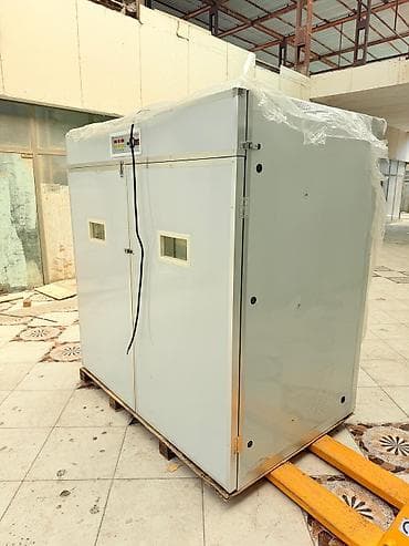 ınqbator: 5000 yumurta, Çin, Fabrik istehsalı, Tam avtomat, Bütün növ quşlaq üçün — 2