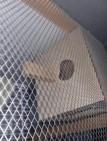 heyvan adlari: Salam quşlar üçün yuvadır təmiz taxdadan içərisində quş yumurtlaması — 1