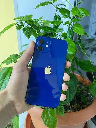 IPhone 12, 128 GB, Göy, Face ID lalafo.az -da IPhone 12, 128 GB, Göy, Face ID