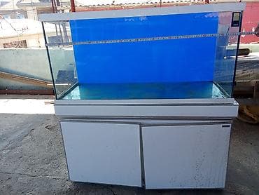 sani kecileri satisi: Böyük ölçülü akvarium komplekti (stendli) - Üst şüşə akvarium — 2