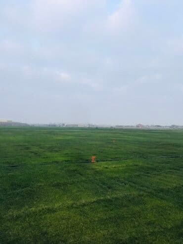 насосы для воды: Super Qazon — 4