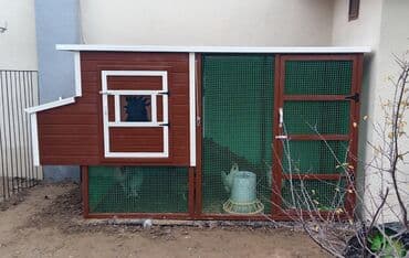 quş yuvası: Tuyuq yuvası Hin sifarişlə hazırlanması istənilən ölçüdə tam — 13