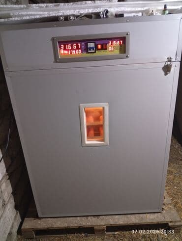 inkubator ucun termostat: Китай, Полностью автоматическая — 1