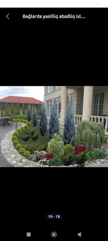 ремонт ipad: Landşaft dizayn agaclarin satişi torf dermanlar gul cicey satsi — 7