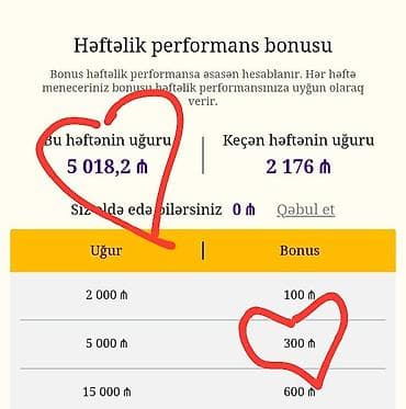 Резюме: Evdən çalışaraq qazanmağa imkan verən onlayn platforma Xüsusiyyətlər — 2
