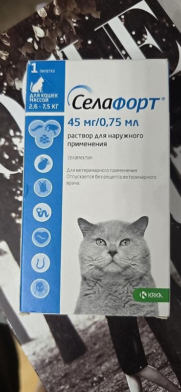 Gəmiricilər: Selafort piwikler ucun — 1