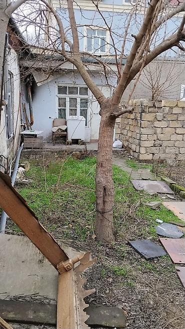 qubada ev satisi: Salam, torpaq sahesi və üstündəki tikililər satilir, tam senedli — 6