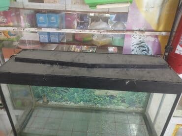 Akvariumlar: 140litir su tutumu Uzunluqu 90sm Hundurluyu50sm Eni 31 sm 150Azn — 2