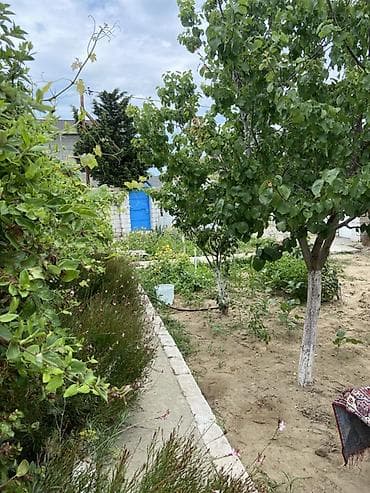 kapsul ev: 3 otaqlı, 70 kv. m, Kredit yoxdur, Yeni təmirli — 2