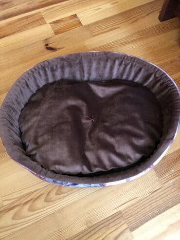 Şampunlar: Piwikler ucun teze — 2