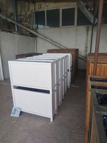 gül toxumları satışı: Sifariş qəbul olunur — 3