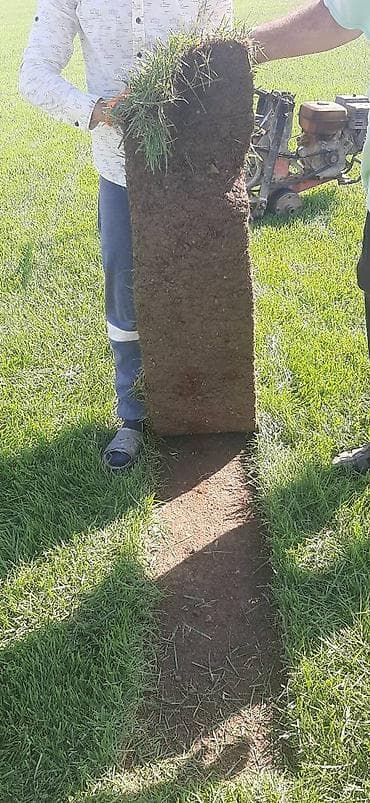 qazon picen: Salam qazon sifarisi catdirilma ve yere serilmesi unvana ve kvadrata — 10