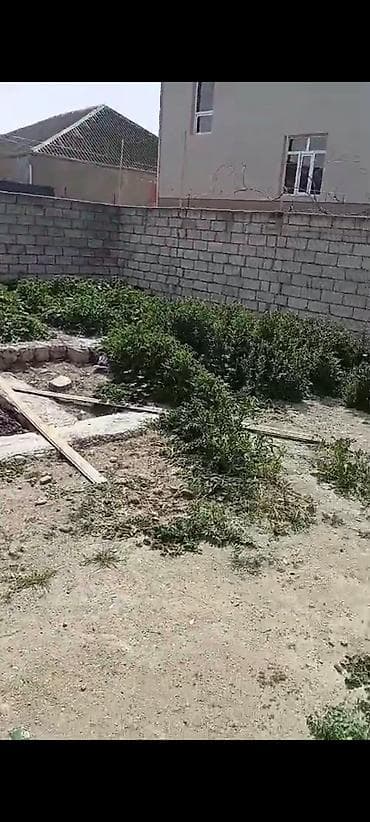 hazir obyekt: Tikinti — 5