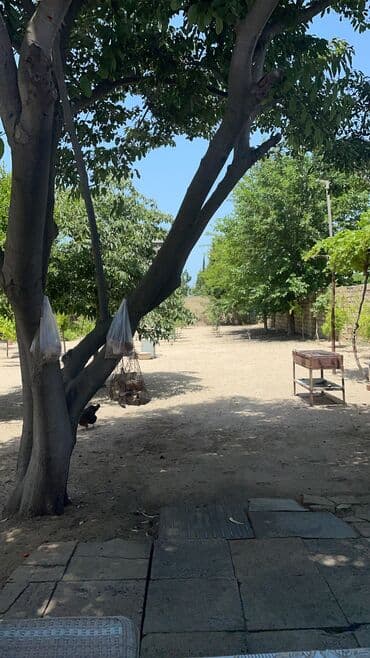 Коммерческая недвижимость: 10 соток, Собственник, Купчая — 4