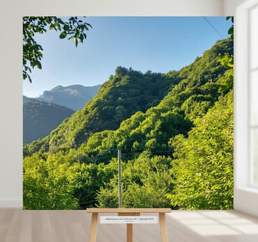 xacmazda 9 nöm mektebin yanında ev torpaq satqısı: 11 sot, Tikinti, Maklerlər narahat etməsin, Kupça (Çıxarış) — 1