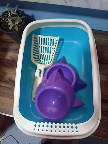 туалет для кошек: Pişik tualeti dəsti - Material: möhkəm plastik - Daxildir: - Qapalı — 1