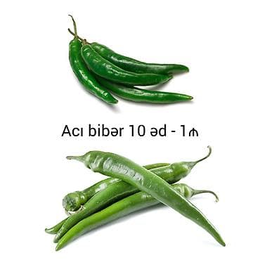 xarı bülbül gülü satışı: Gül və tərəvəz toxumları satılır. Əkim vaxtı mart-aprel-may ayları — 2