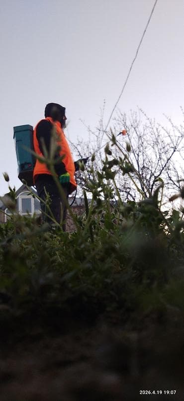 Ландшафтные работы: Bağ sahələrinin peyzaj və yaşıllaşdırma xidməti - Ot və alaq biçimi — 3