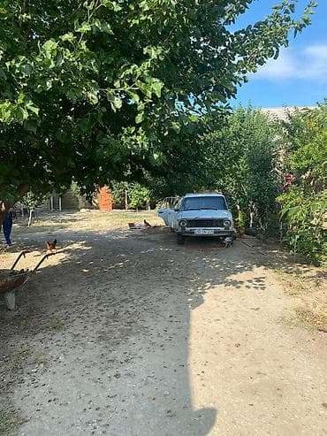 Torpaq: 7 sot, Tikinti, Kupça (Çıxarış) — 3