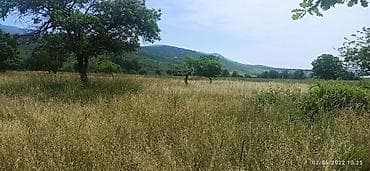 kurdaxanida heyet evleri: 128 sot, Biznes üçün, Mülkiyyətçi, Bələdiyyə — 6