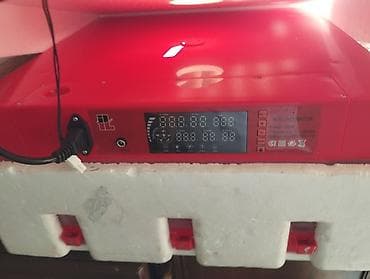 ınkubator: Mini İnkubator – rəqəmsal idarəetmə paneli ilə - Model üzərində “Mini — 1