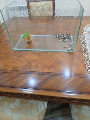 аквариум купить: Прямоугольный аквариум, Пустой, 40 л — 1