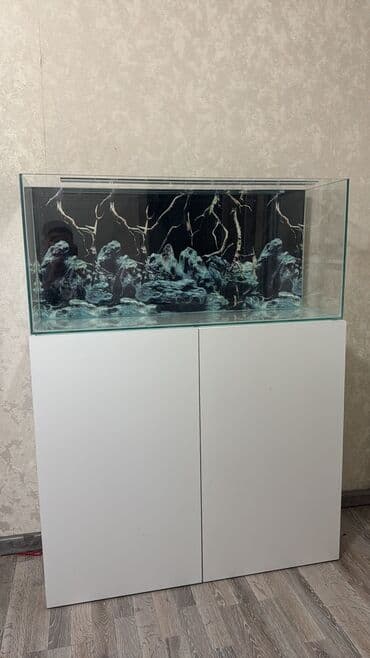 syomqa baliq: Akvarium-şkaf, Boş, 135 l, Rayonlara çatdırılma, Ödənişli çatdırılma, Ünvandan götürmə — 1