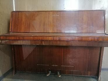 İdman və istirahət: Piano, Akustik — 3