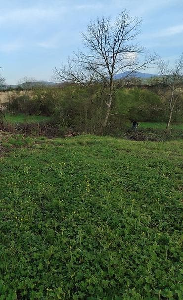 купить участок в баку: 12 соток, Для строительства, Собственник, Купчая — 5