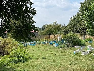 Дома: 12 соток, Для строительства, Собственник, Купчая — 3