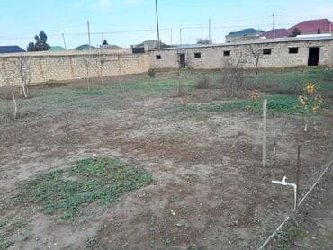 bine atciliqda torpaq: 7 sot, Tikinti, Mülkiyyətçi, Kupça (Çıxarış) — 6