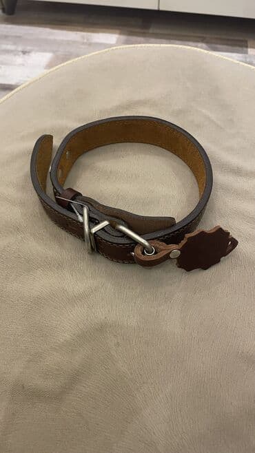 itler ucun xaltalar: İt xaltası yenidi heç taxılmayıb bahalı xaltadı maraqlanan bilən bilər — 4