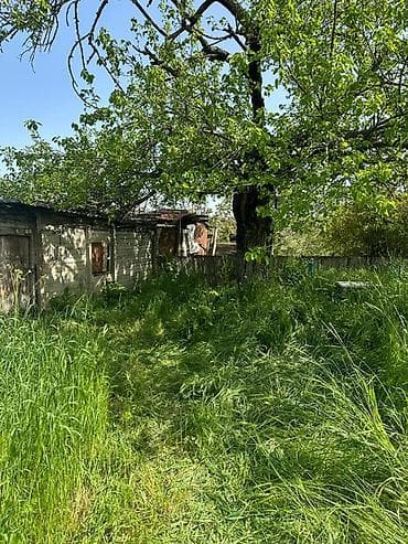 Daşınmaz əmlak: 2 otaqlı, 50 kv. m, Kredit yoxdur, Orta təmir — 1
