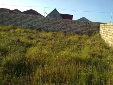 mx group inşaat: 6 sot, Tikinti, Mülkiyyətçi, Kupça (Çıxarış) — 1