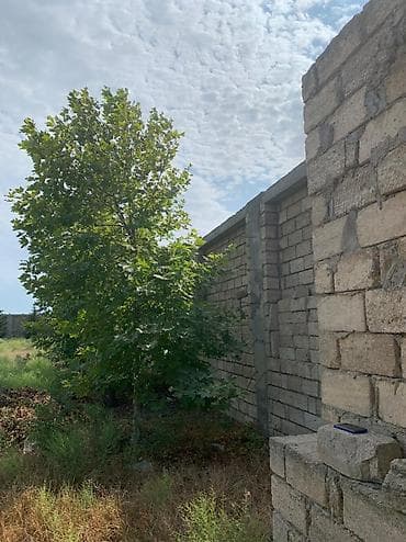 tecili ev satilir 2020: 37 sot, Maklerlər narahat etməsin, Kupça (Çıxarış) — 5