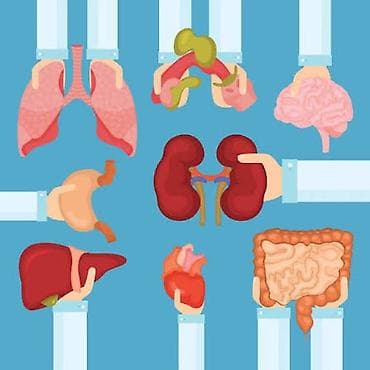 tibbi nümayəndə nədir: Pula ehtiyac var deye satiram Tədris və nümayəndəlik üçün insan — 1