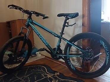 Velosipedlər: Velosiped: Wellsport ZY100

endirim olacaq — 2