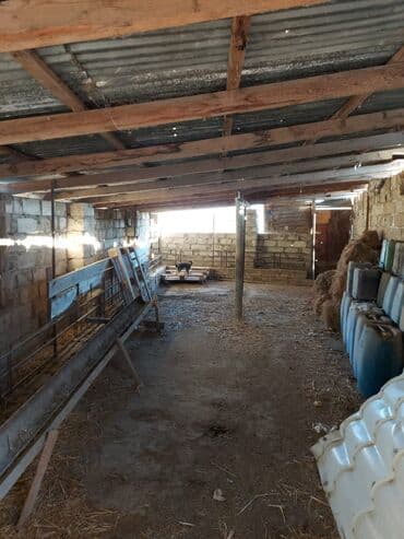 xacmaz rayonu: Bakı, Qala qəs., 550 kv. m, 3 otaqlı, Hovuzsuz, Artezian quyusu, Qaz, Su — 7