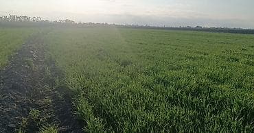 yeni guneslide satilan evler: Для сельского хозяйства — 2