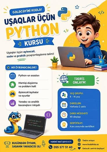Kompüter kursu: Programlaşdırma, Onlayn