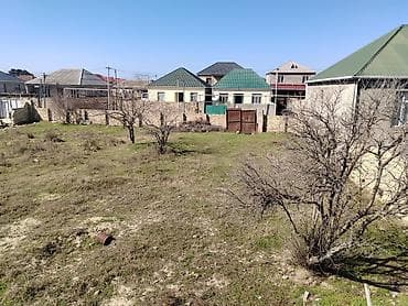 10 sot, Tikinti, Bələdiyyə