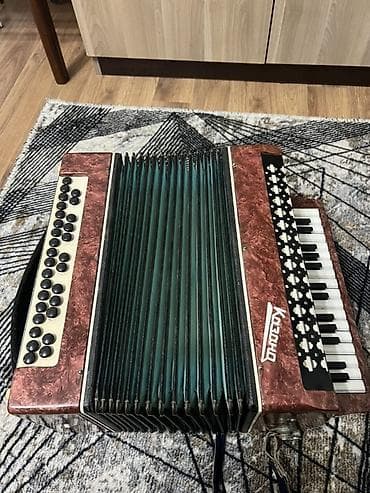 Zərb alətləri: Akustik Akkordeon — 5