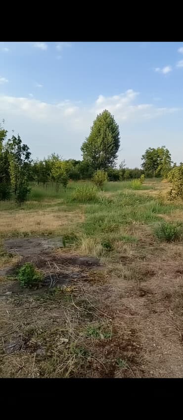 hökməli kirayə evlər: 18 sot, Biznes üçün, Mülkiyyətçi, Kupça (Çıxarış), Texniki pasport — 5