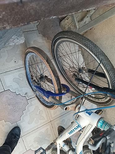 velosipedlərin qiyməti: İki ədəd velosiped dəsti - Ölçülər: biri 26" təkərli, digəri daha — 7