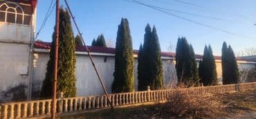 xacmazda evlərin satışı: Tovuz, 4 otaqlı, Köhnə tikili, 180 kv. m — 9